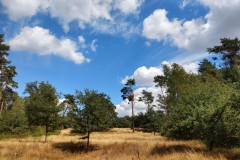 130