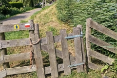 551