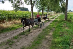 IMG_20180910_114402044_HDR