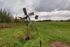 IMG_20180910_115308095_HDR