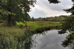 IMG_20180910_121024831_HDR
