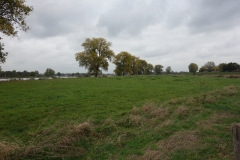 DSC00827