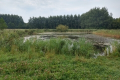 PHOTO-2020-08-15-18-14-14