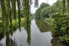 IMG_20210713_102441608_HDR