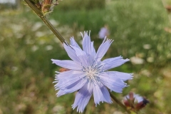 IMG_20210719_093052815
