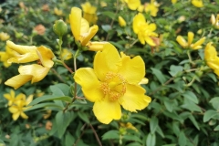 IMG_20210719_101807804_HDR