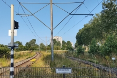 IMG_20210721_082301681_HDR