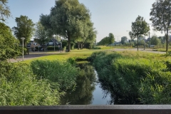 IMG_20210721_083913240_HDR