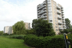 SAM_5052_1