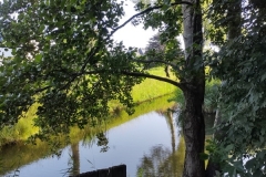 SAM_5061_7