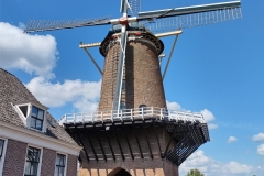 IMG_20210729_161503239_HDR
