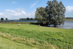 IMG_20210729_162141681_1_HDR