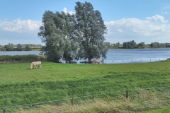 IMG_20210729_162141681_HDR