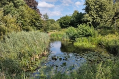 IMG_20210729_181618153_HDR