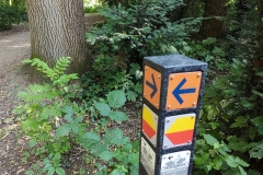 IMG_20210729_182218340