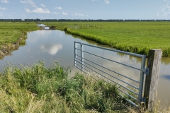 IMG_20210804_113611192_HDR
