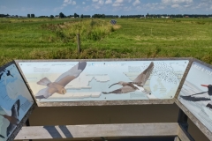 IMG_20210804_115126464_HDR