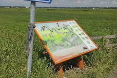 IMG_20210804_120152102_HDR