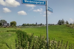 IMG_20210804_120429863_HDR