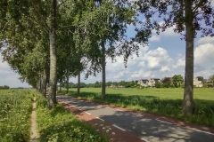 IMG_20210804_124332345_HDR