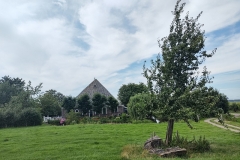 IMG_20210812_144056003_HDR