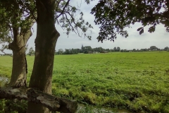 IMG_20210812_145823624_HDR