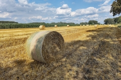IMG_20230706_172420958_HDR