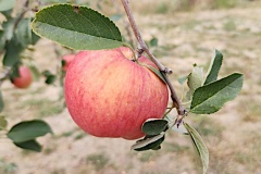 IMG_20250829_172020764