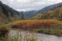 IMG20251031141035