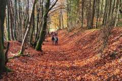 f962c330-b6e8-4d6f-8324-fb4140ea3f85