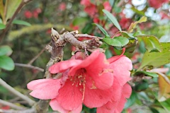 IMG_20260402_131630340
