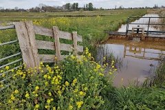 IMG_20260410_135952655