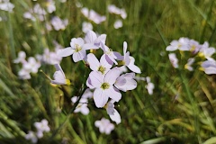 IMG_20260417_115736011