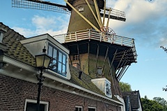 IMG_20260611_061336780_HDR