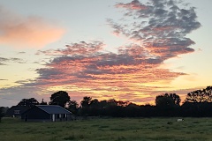 IMG_20260702_051630616_HDR