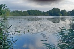 IMG-20260829-WA0000
