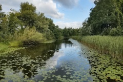 IMG_20260829_083653001_HDR2