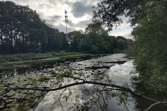 IMG_20260829_083726207_HDR