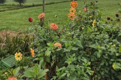 IMG_20260926_084340894_HDR