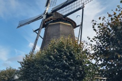 IMG_20260926_110131068_HDR