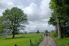 IMG20240524141837