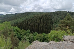 IMG20240524145320