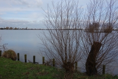 DSC02548
