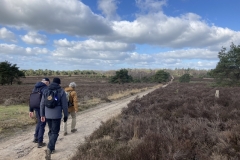 IMG_6172