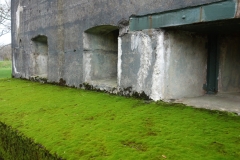 DSC02340