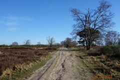 DSC03630