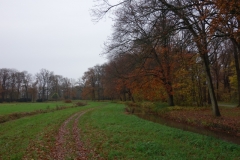 DSC03301