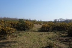 DSC03690