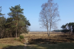 DSC03695