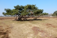 DSCN1596-1